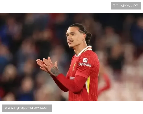 努涅斯本菲卡时期数据含金量解析