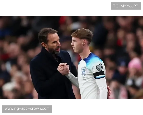 帕尔默与萨卡对比：进攻多面性与战术适配性的核心差异